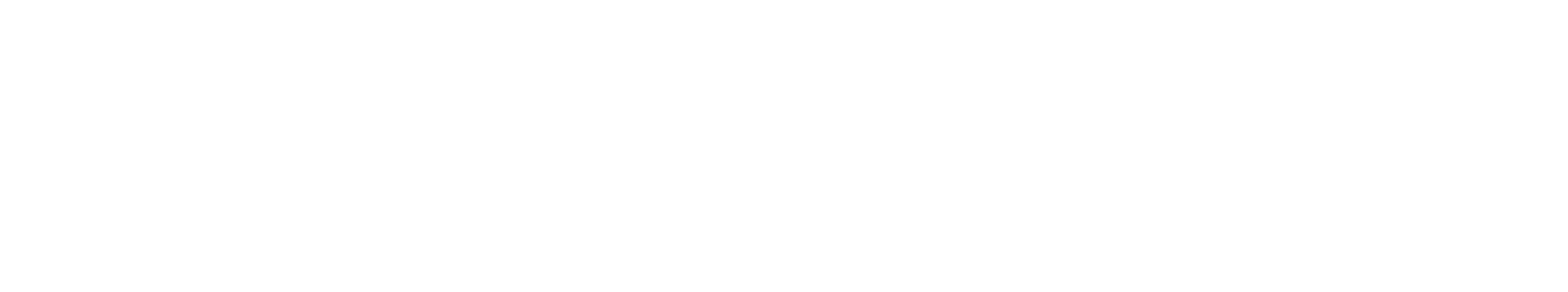 Cachanbike