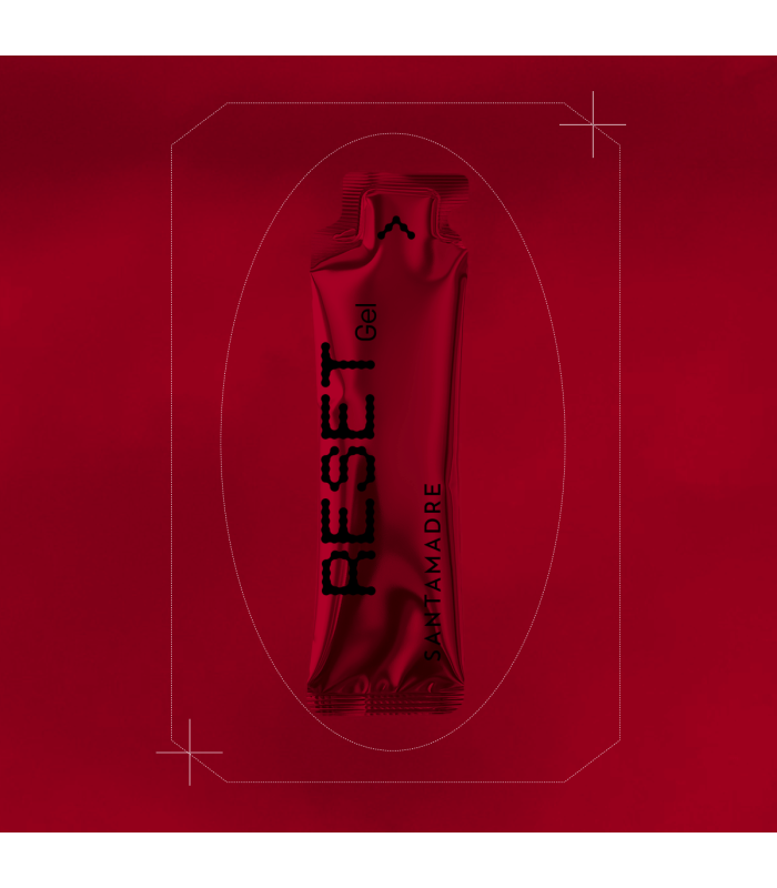 GEL SANTA MADRE RESET